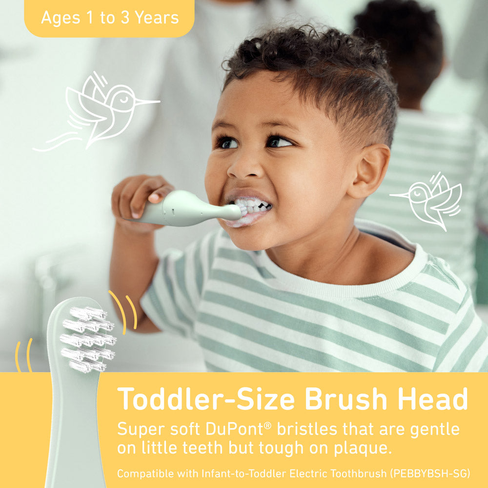 PureBaby Infant-to-Toddler Electric Toothbrush (PEBBYBSH-SG) - 2-Pack Replacement Bristle Brush Heads - Image 2