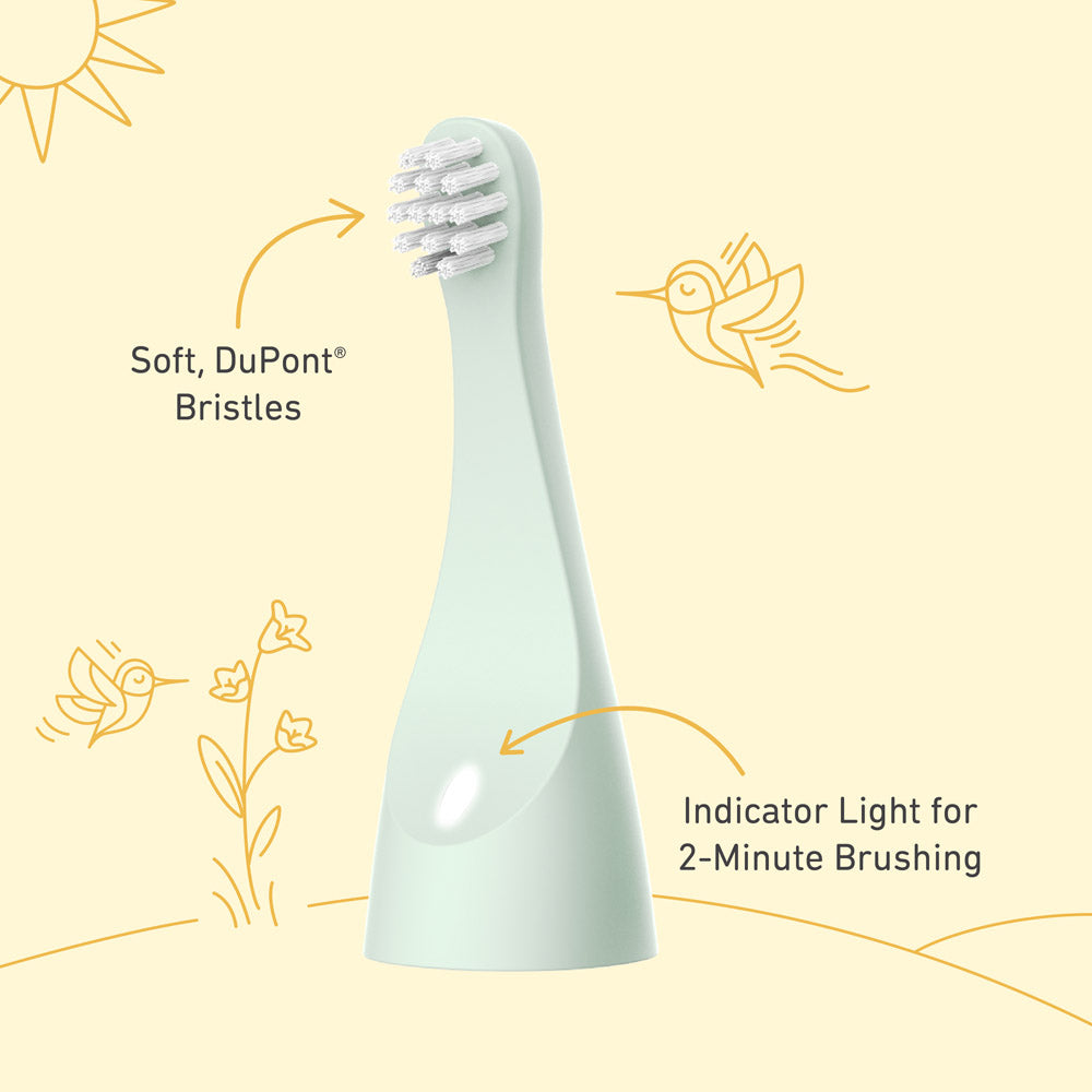 PureBaby Infant-to-Toddler Electric Toothbrush (PEBBYBSH-SG) - 2-Pack Replacement Bristle Brush Heads - Image 5